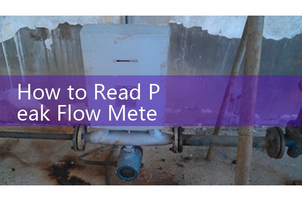 How to Read Peak Flow Meter: Consultation with Healthcare Providers for Proper Use
